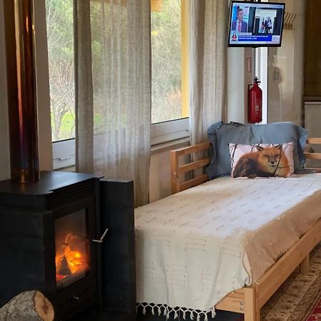Vila Loft - Casinha A Porta Arouca Exteriér fotografie