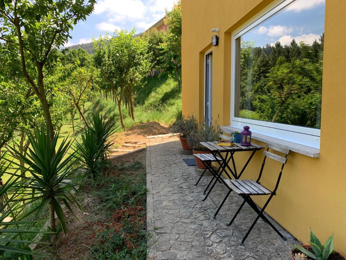 Vila Loft - Casinha A Porta Arouca Exteriér fotografie